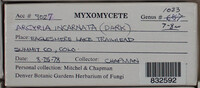 Image Associated With the Occurence